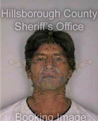 Medina Otilio - Hillsborough County, FL 