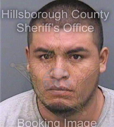 Gonzalezantonio Bartolome - Hillsborough County, FL 