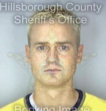 Lewis Robert - Hillsborough County, FL 