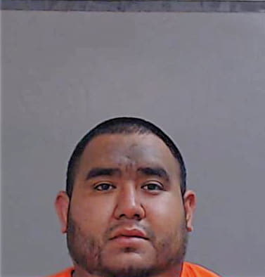 Hernandez Armando - Hidalgo County, TX 