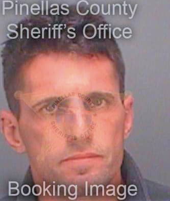 Morin Gregory - Pinellas County, FL 