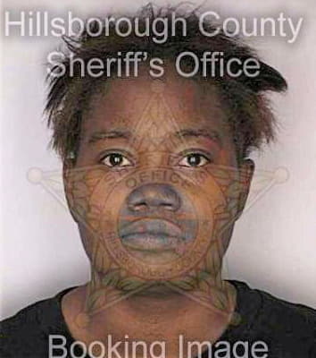 Mcswain Samarian - Hillsborough County, FL 