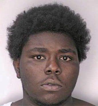 Ellison Willie - Hillsborough County, FL 