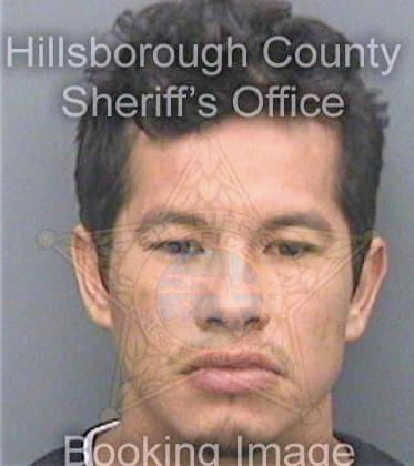 Sierra Damian - Hillsborough County, FL 