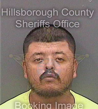 Salgadoramirez Mauricio - Hillsborough County, FL 