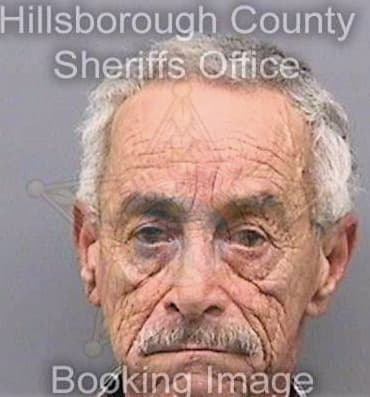 Brito Pablo - Hillsborough County, FL 