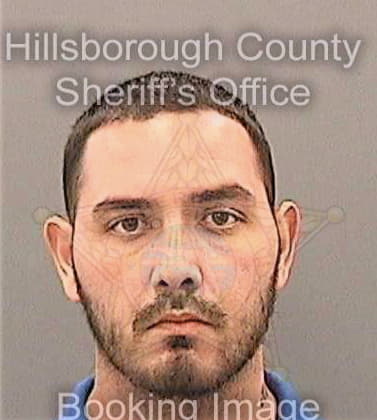 Dominguez Shane - Hillsborough County, FL 