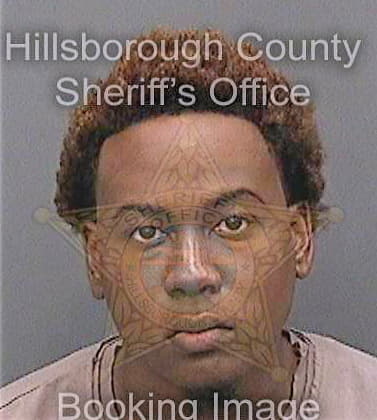 Richardson Travis - Hillsborough County, FL 