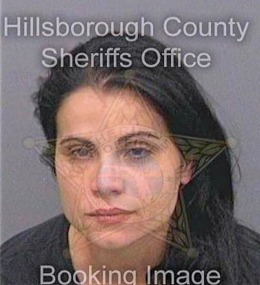 Ceprogarcia Mayre - Hillsborough County, FL 