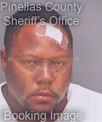 Whiting Raffaell - Pinellas County, FL 