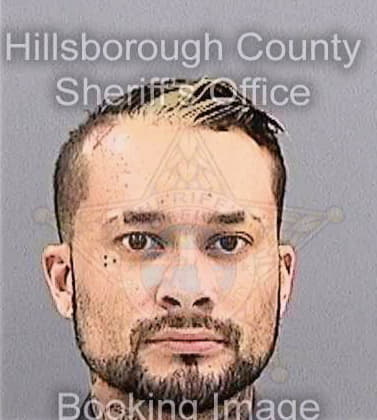 Reyes Rodolfo - Hillsborough County, FL 