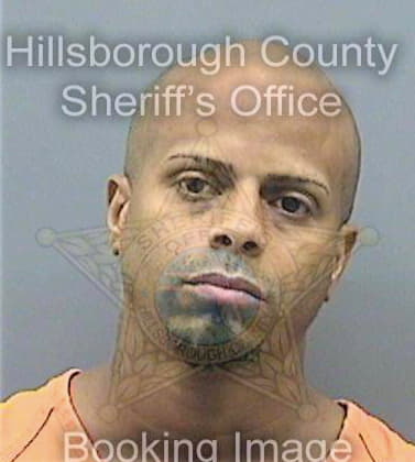 Dislagarcia Edgar - Hillsborough County, FL 