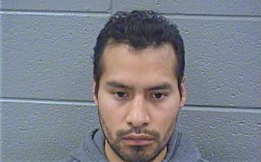 Hernandez Emilio - Cook County, IL 