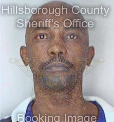 Lee David - Hillsborough County, FL 