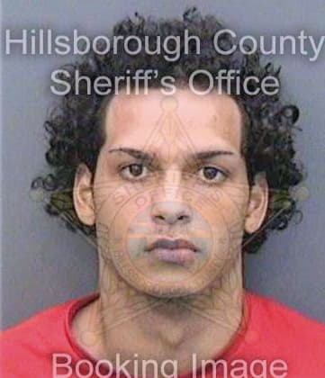 Sierra Daniel - Hillsborough County, FL 