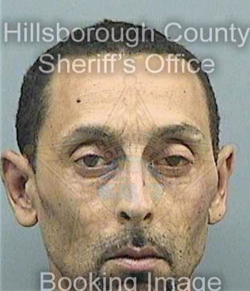 Rivas Lisandro - Hillsborough County, FL 