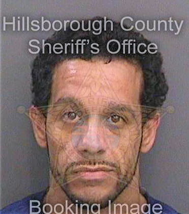 Santana Carlos - Hillsborough County, FL 