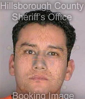 Mejia Mauricio - Hillsborough County, FL 