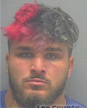 Schneider Cole - Lee County, FL 