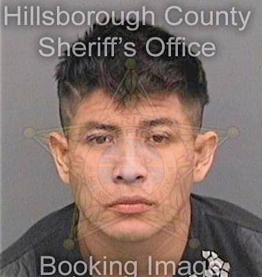 Calzadahernandez Daniel - Hillsborough County, FL 