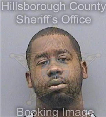 Pollard Jamarius - Hillsborough County, FL 