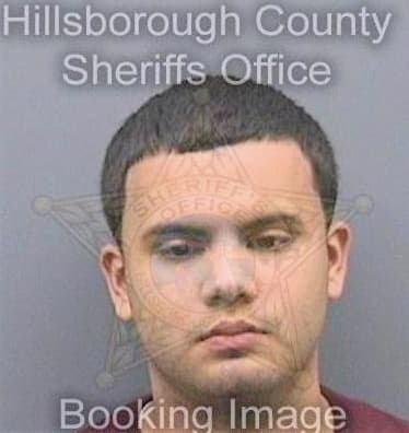 Espinoza Armando - Hillsborough County, FL 