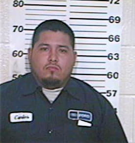 Martin Carlos - Hidalgo County, TX 