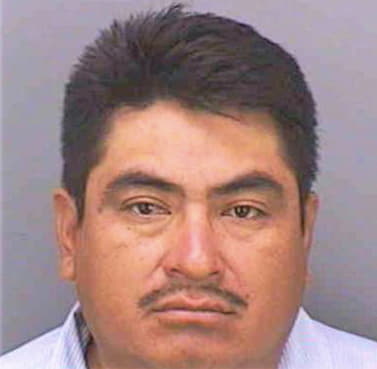 Bautista Domitilio - Collier County, FL 