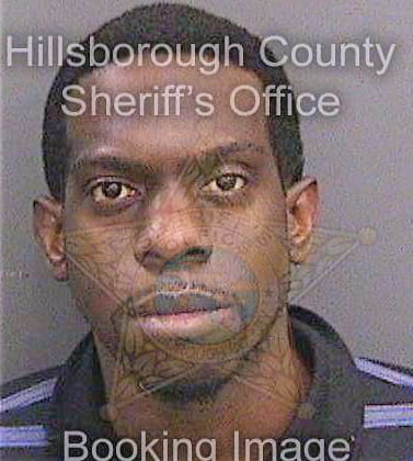 Bivins Jason - Hillsborough County, FL 