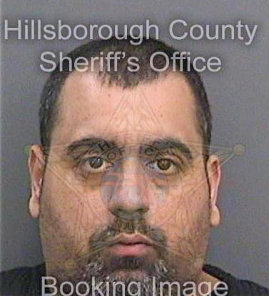 Lopez Luis - Hillsborough County, FL 