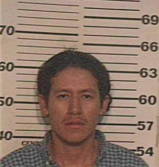 Hernandez Santos - Hidalgo County, TX 