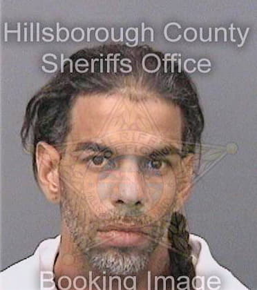 Ramoscollazo Carlo - Hillsborough County, FL 