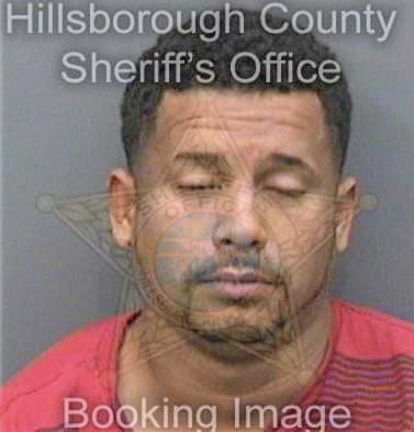 Lopezfigueroa Omar - Hillsborough County, FL 