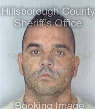 Ortiz Ismael - Hillsborough County, FL 