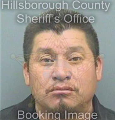 Ramirezramirez Genaro - Hillsborough County, FL 