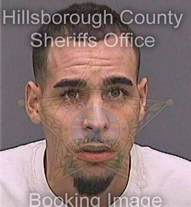 Conrad Tyler - Hillsborough County, FL 