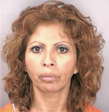 Silva Mercedes - Hillsborough County, FL 