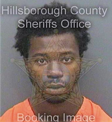 Boone Leonard - Hillsborough County, FL 