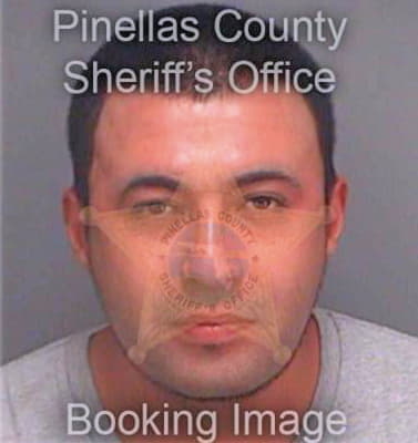 Martinez Wilfredo - Pinellas County, FL 