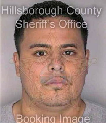 Gonzalez Heriberto - Hillsborough County, FL 