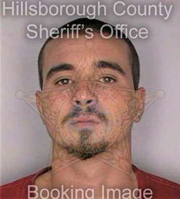 Perdomo Ryan - Hillsborough County, FL 