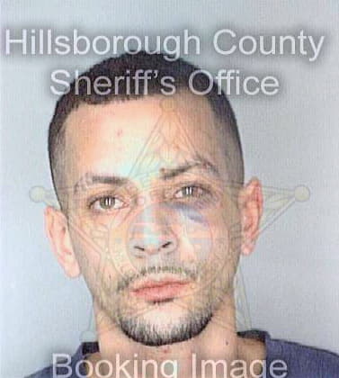 Gonzalez William - Hillsborough County, FL 