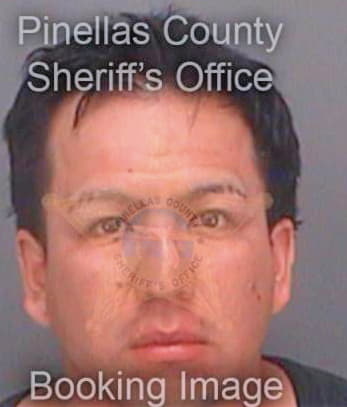 Sevilla Fernando - Pinellas County, FL 