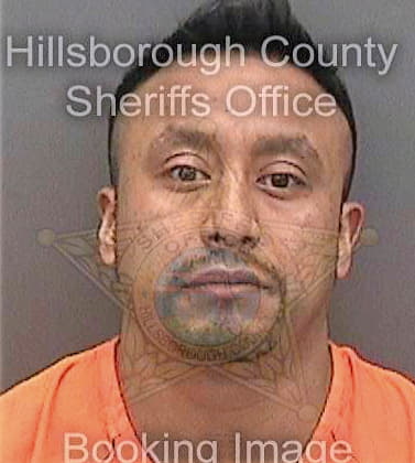 Martinezlopez Homar - Hillsborough County, FL 