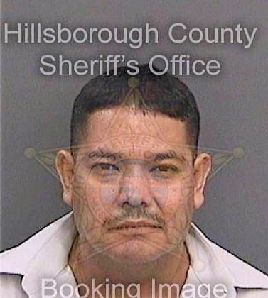 Marin Carlos - Hillsborough County, FL 