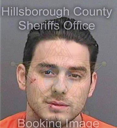 Sayre Joseph - Hillsborough County, FL 