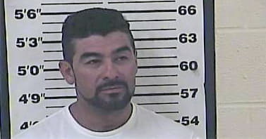 Hernandez-Saldana Ygnacio - Carter County, TN 