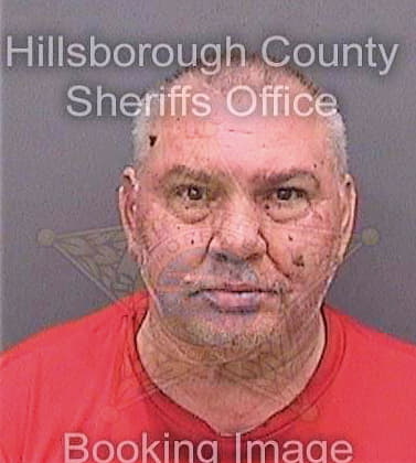 Martin David - Hillsborough County, FL 