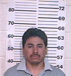 Gomez Carlos - Hidalgo County, TX 