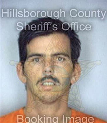 Hollenbeck George - Hillsborough County, FL 